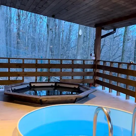Wood Space Villa