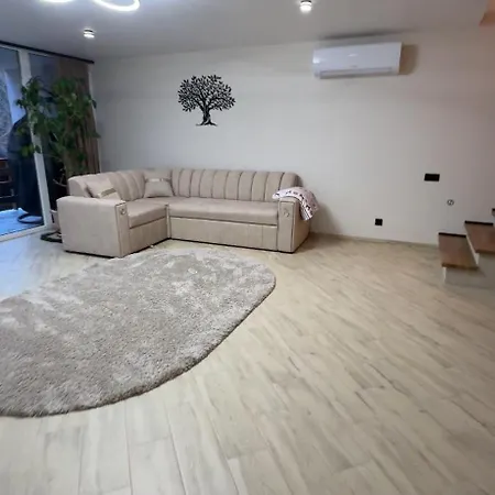 Wood Space Villa