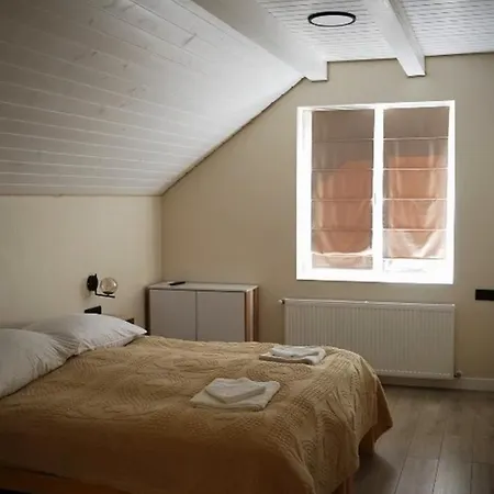 Wood Space Villa Mukacheve