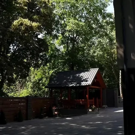 Villa Wood Space Mukacheve